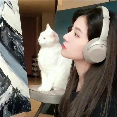 迷色布局